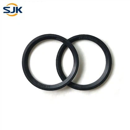 Din 3869 Seals